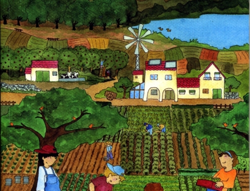 Agricultura Ecológica, una alternativa sostenible