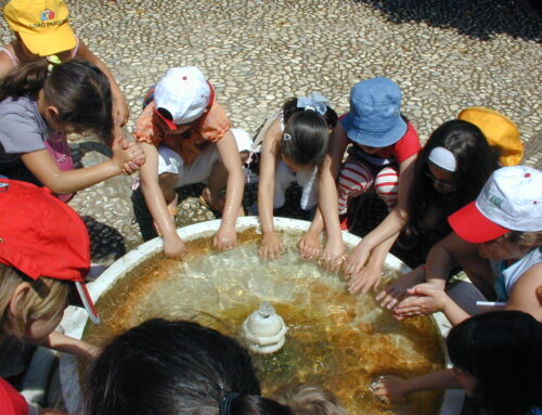 Educación Ambiental e interpretación del patrimonio a través del programa “La Alhambra y los niños”